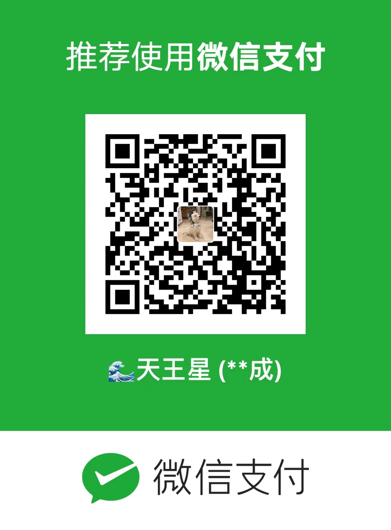 SkyBlue WeChat Pay